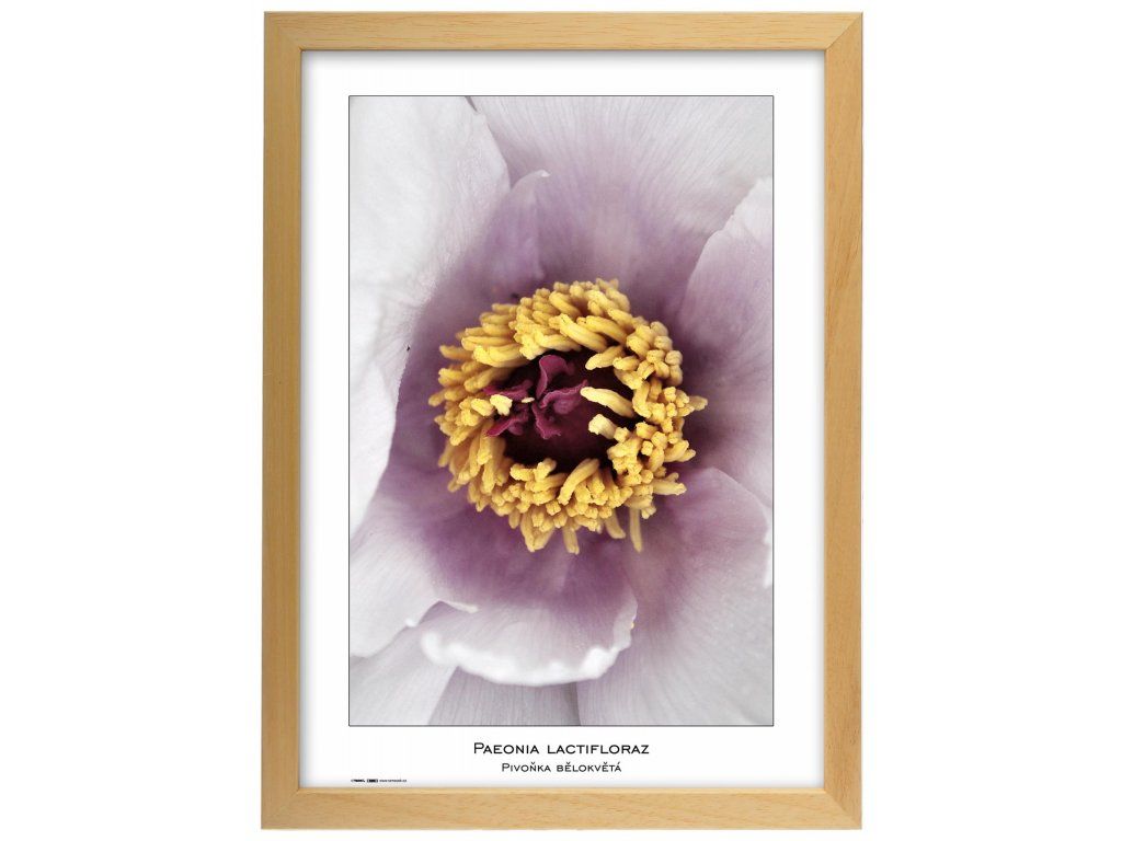 Dřevěný obrázek natura